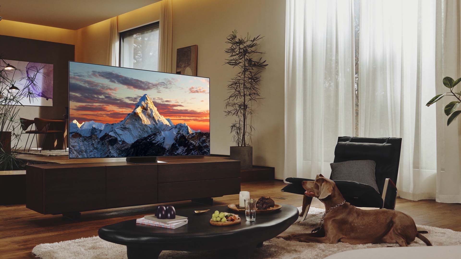Neo QLED model 22