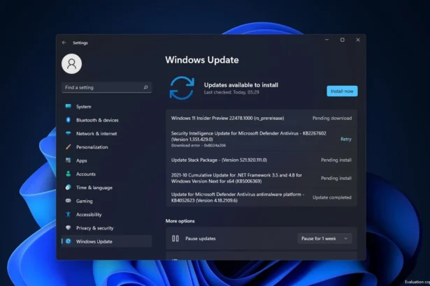 Windows 11