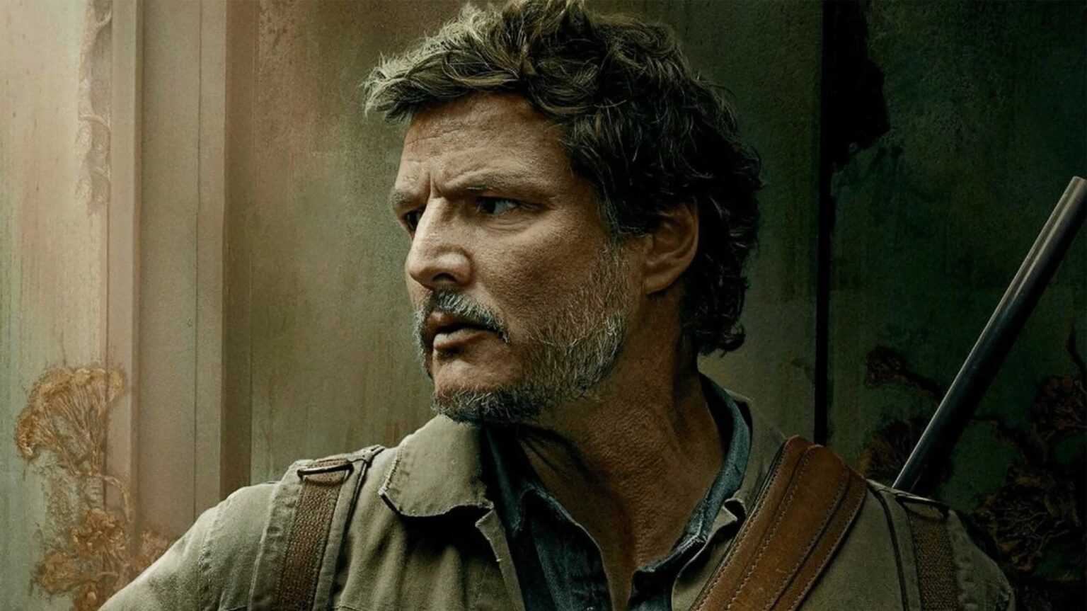 The Last of Us