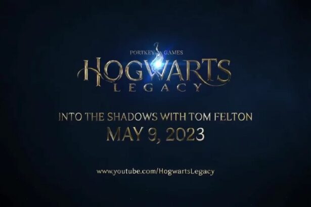 Hogwarts Legacy: Into The Shadows